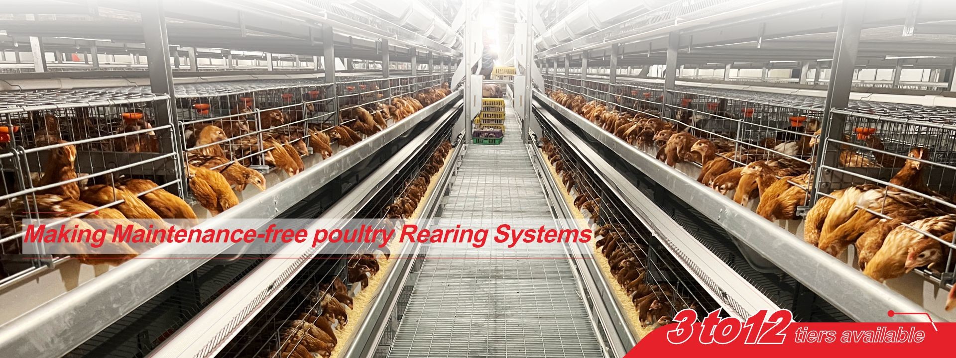 quality Poultry Battery Cage System factory