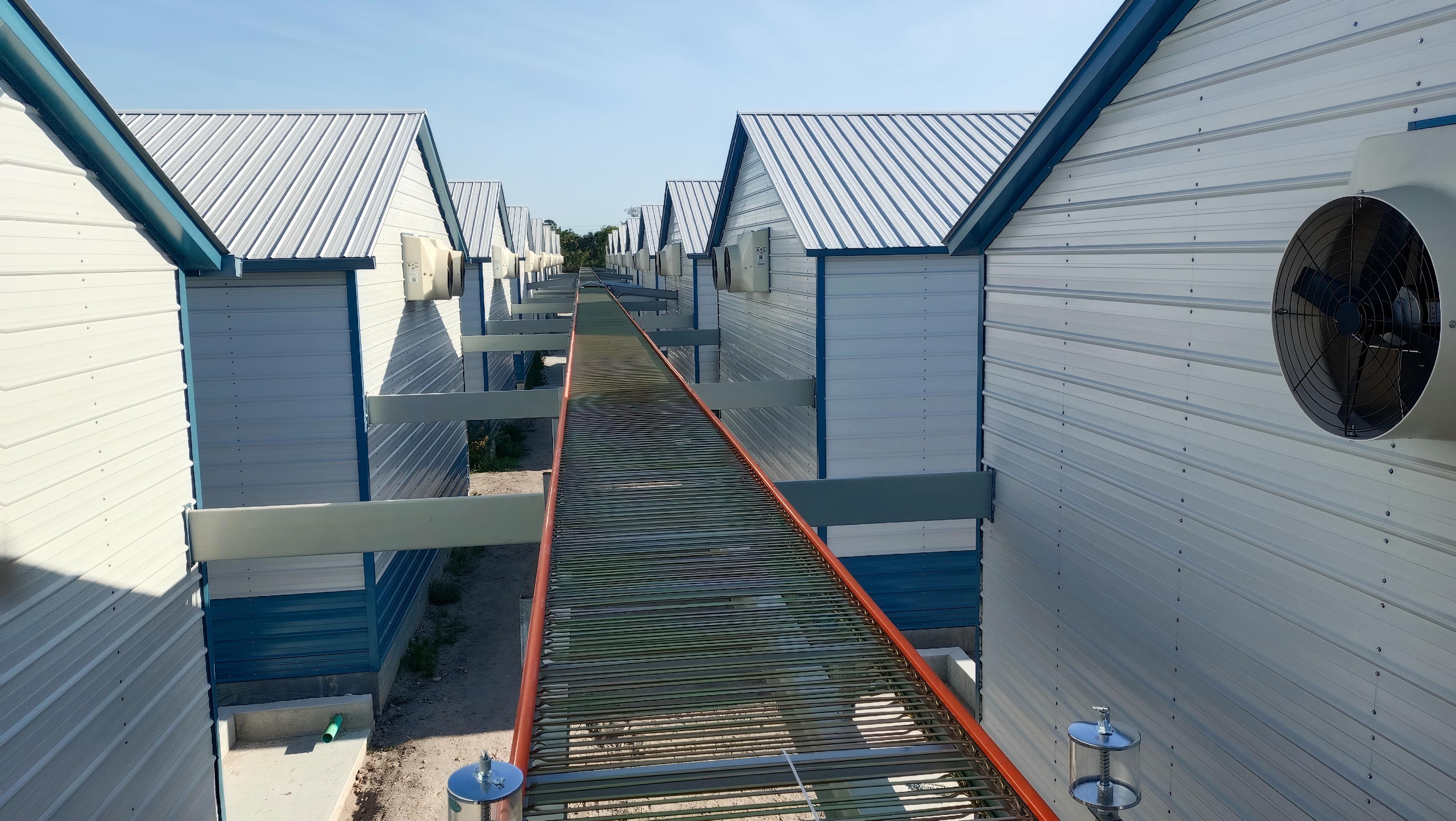 America 400,000 Layers Cage-Free Project