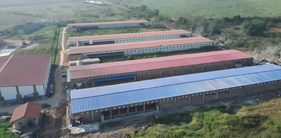 Uganda 1 Million Layers Project