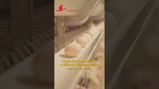 Farmrob | Stable egg collection with breakage rate 0.2%  #poultryfarm #chicken #factoryproducts