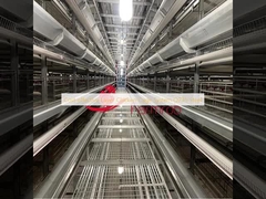 Cost-effective Layer Chicken Cage System Q235 Steel 