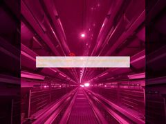 80000 Hygienic Layer Chicken Cage System for Pakistani Farms