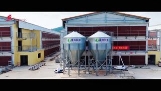 Farmrob | 4 million layer project in Guangdong, southern China
