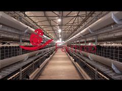 Farmrob | Breeder cage for artificial insemination