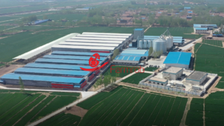 Farmrob | 3 million layer farms in Shandong