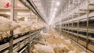 Farmrob welfare system