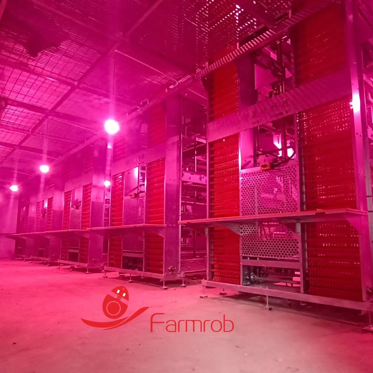 Energy Efficient Poultry Lighting System 3 Tiers - 8 Tiers Baby Chick ...