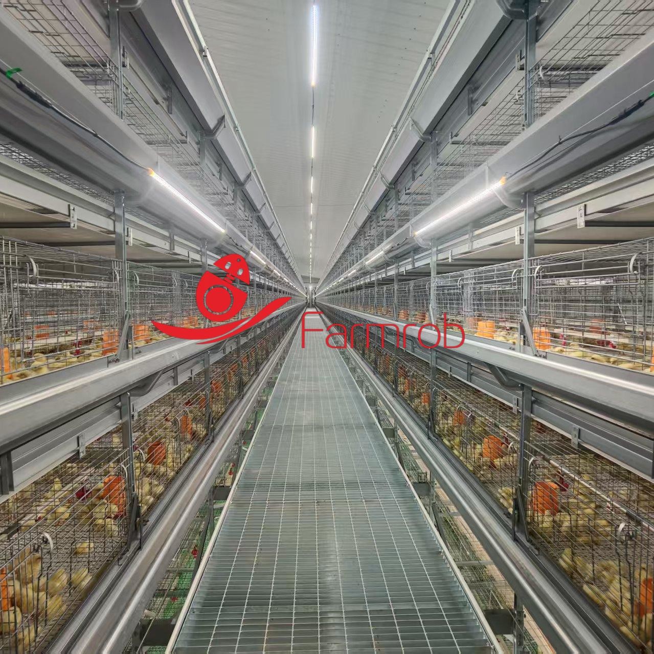 Dependable 8-Tier Poultry Cage System for Baby Chicken Stress-free Space