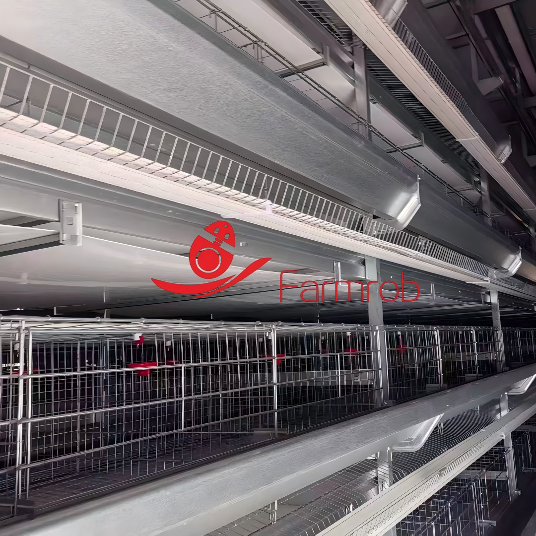 Stable Performance Layer Chicken Cage System in Morocco