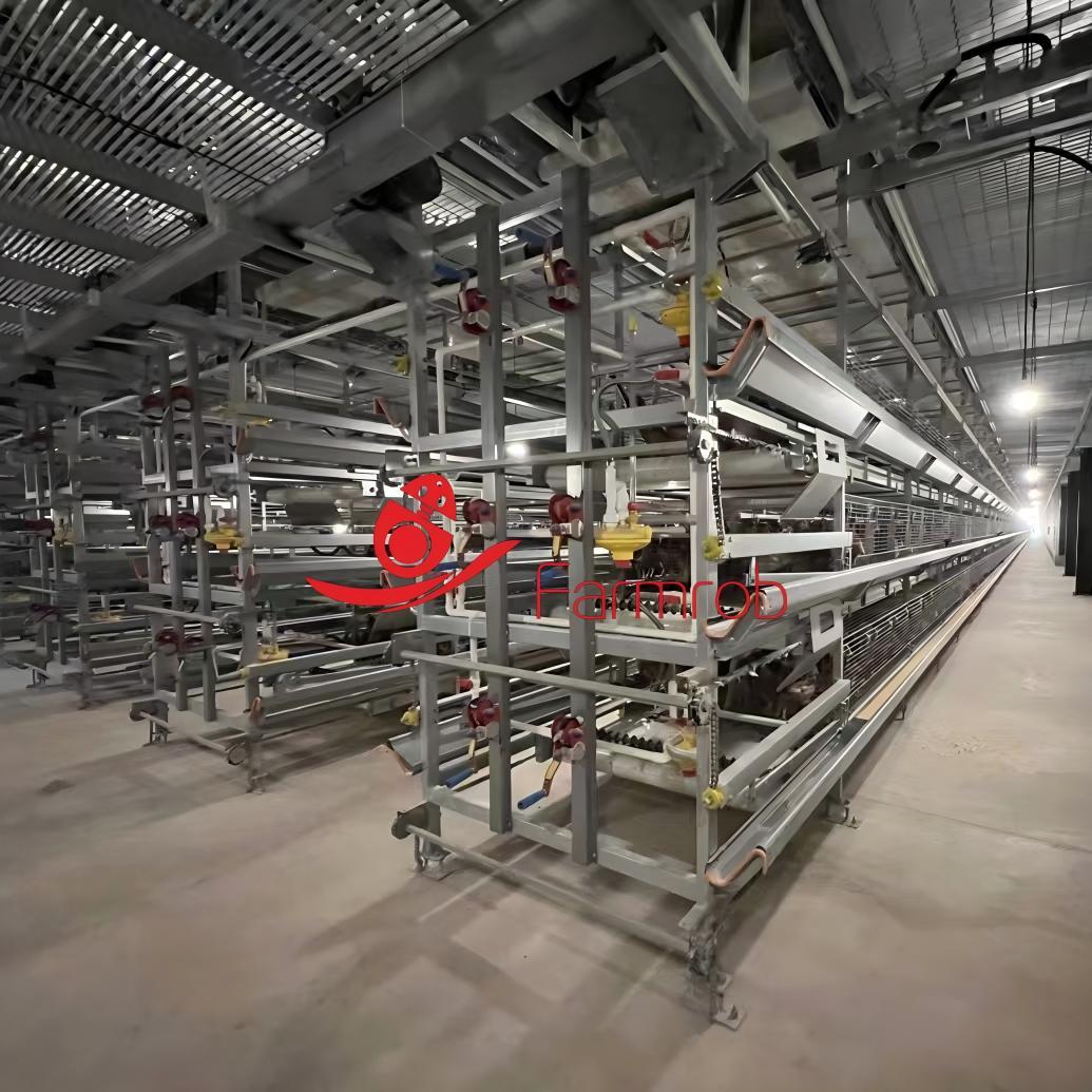 60000 Brooding Poultry Battery Cage System for Baby Chicks