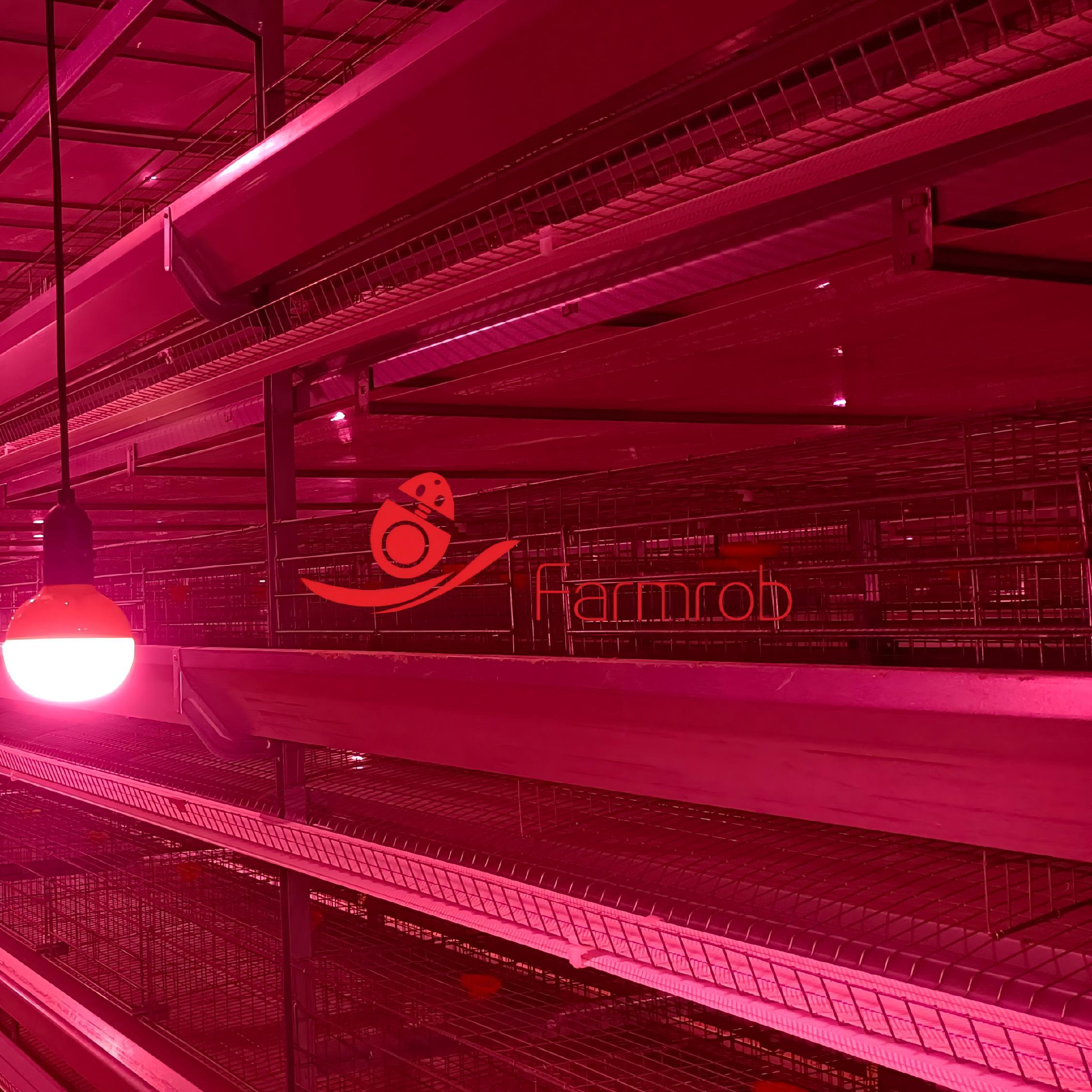 Chicken Module Rack Covers 440 Middle Supports for Layer Chicken Cage System