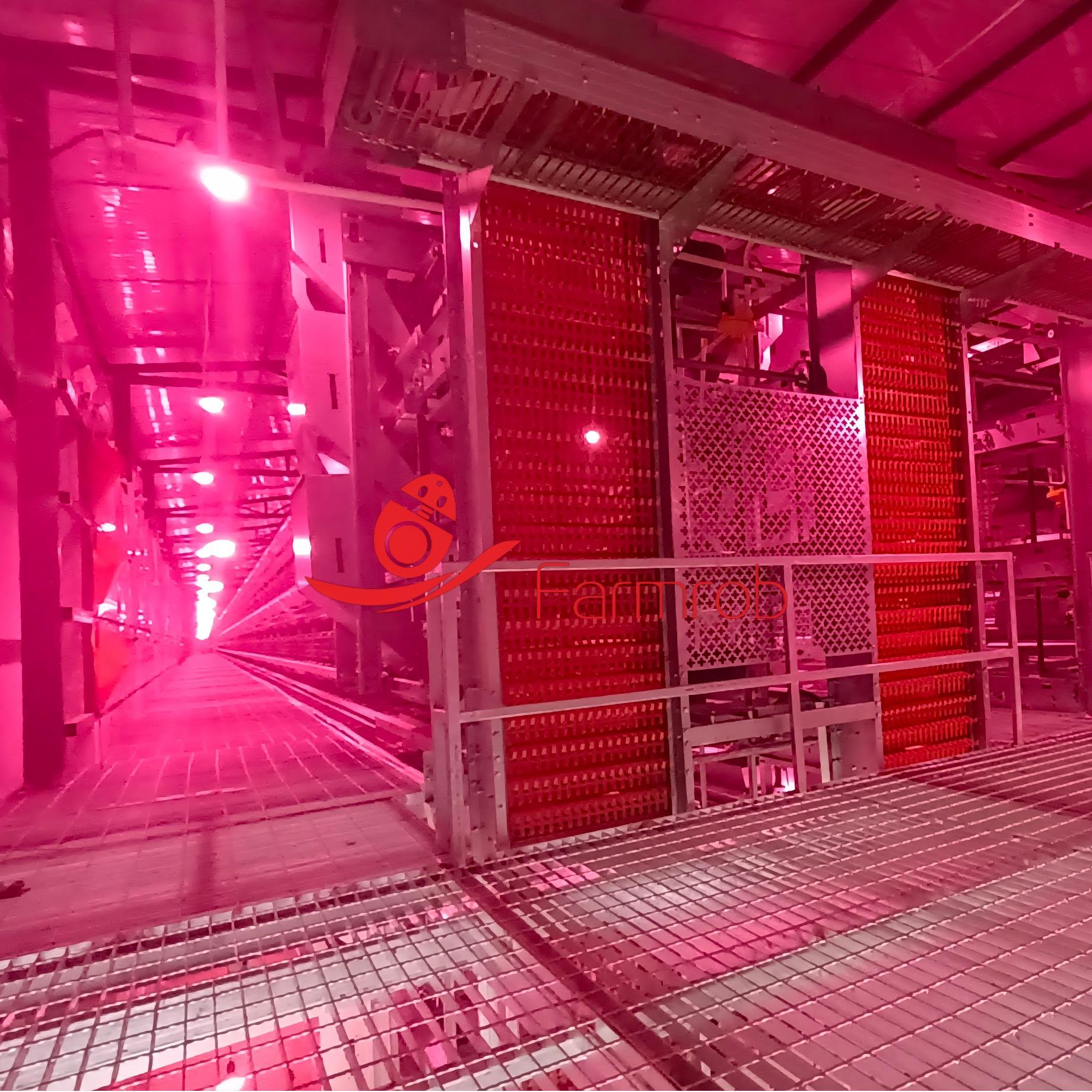 8-Tier Automatic Layer Chicken Cage System for Modern Poultry Farms