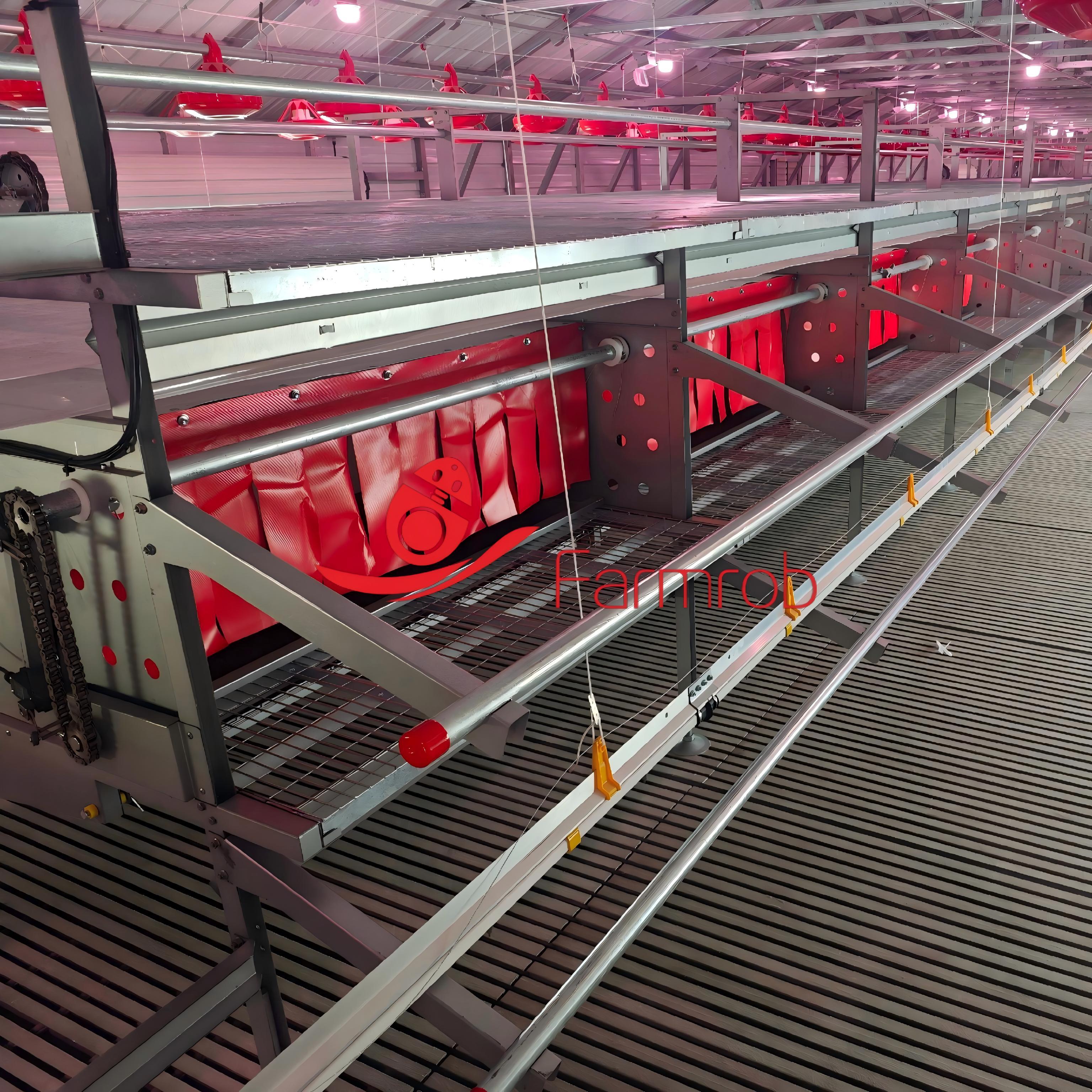 Single-Tier Aviary System for Cage-Free Chicken Farming