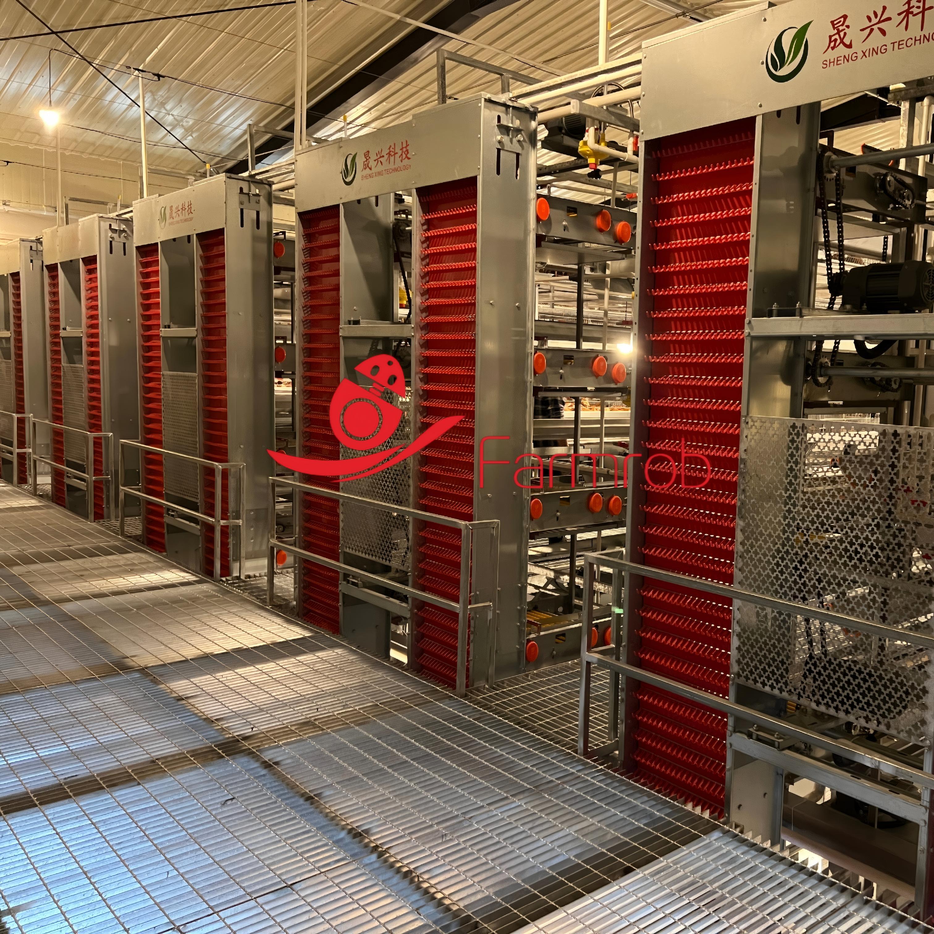 System Development Layer Chicken H-Type Automatic Layer Chicken Cage System for Poultry Farms