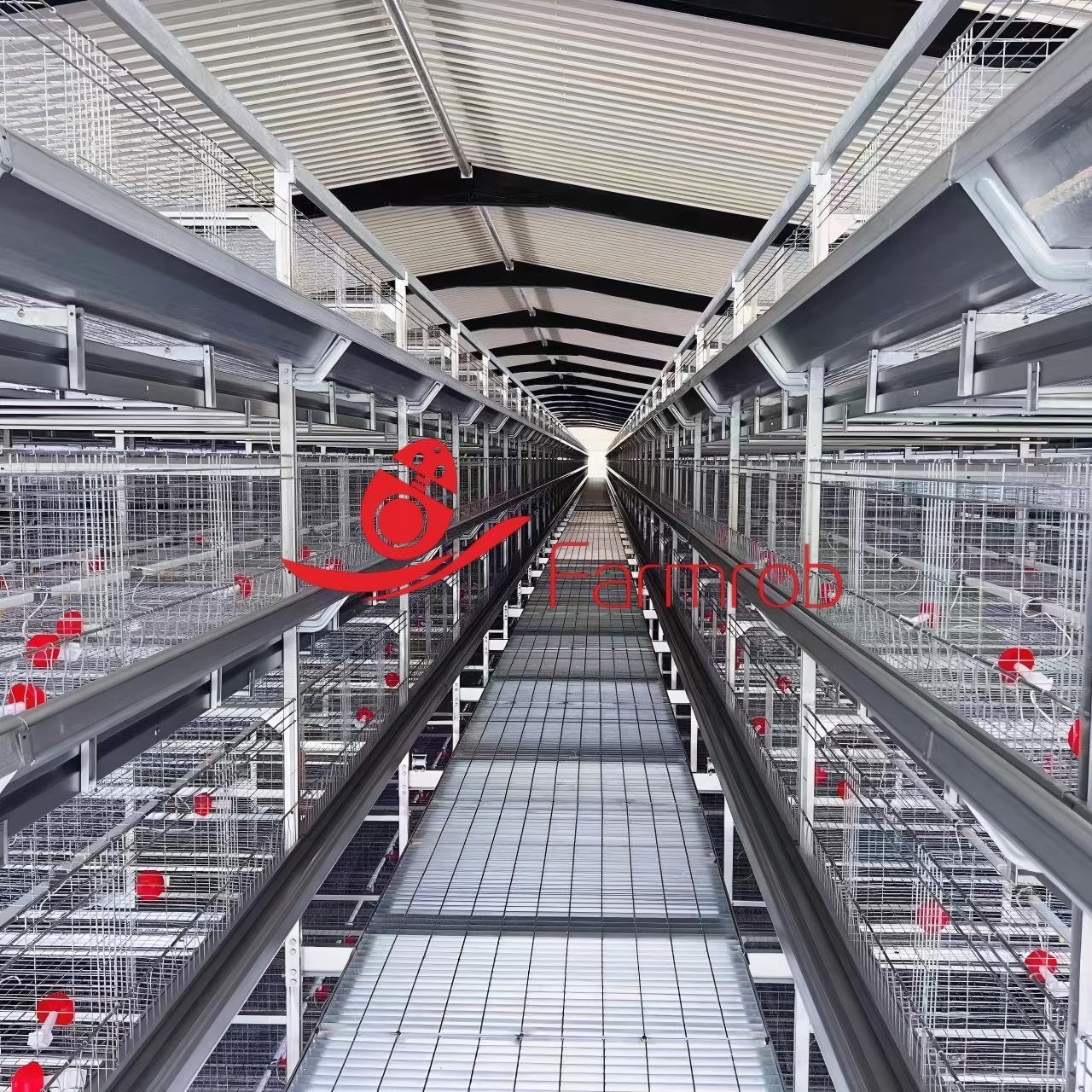 Automated Poultry Battery Cage System for Layer Farming