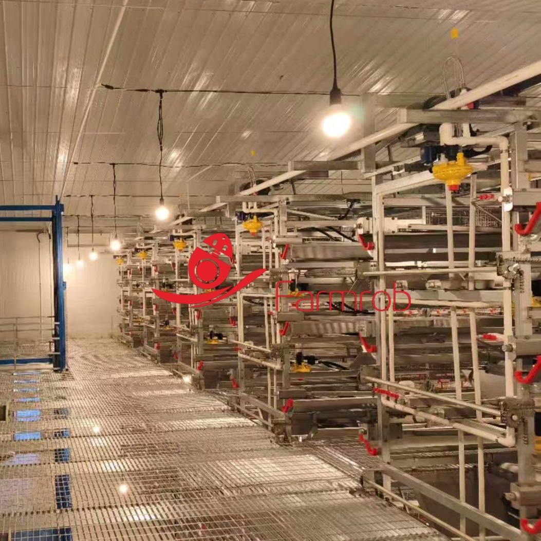 Poultry Battery Cage System for Baby Chicks – Automated & Durable