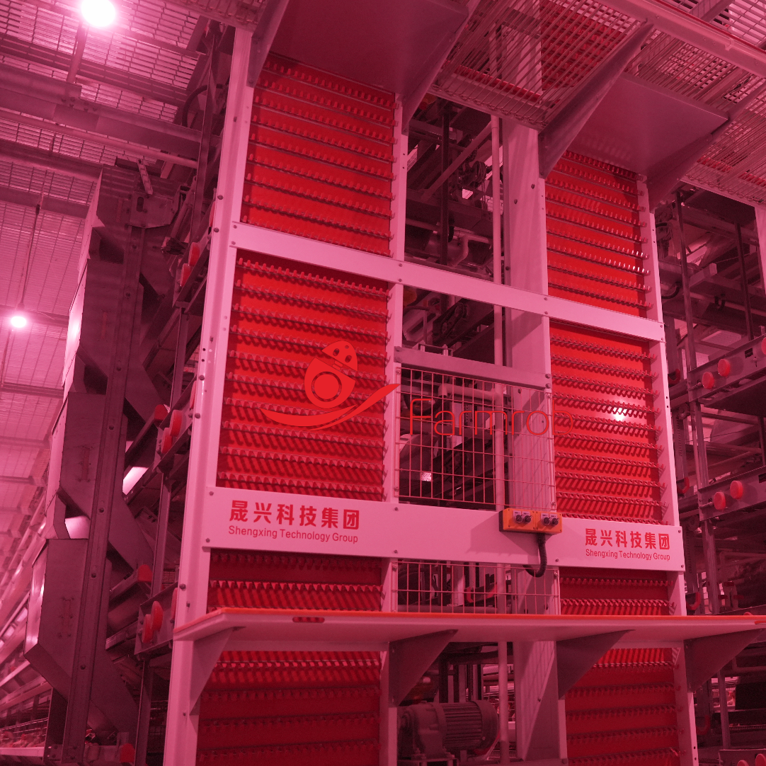 8-Tier Layer Chicken Cage System with Automatic Poultry Farming