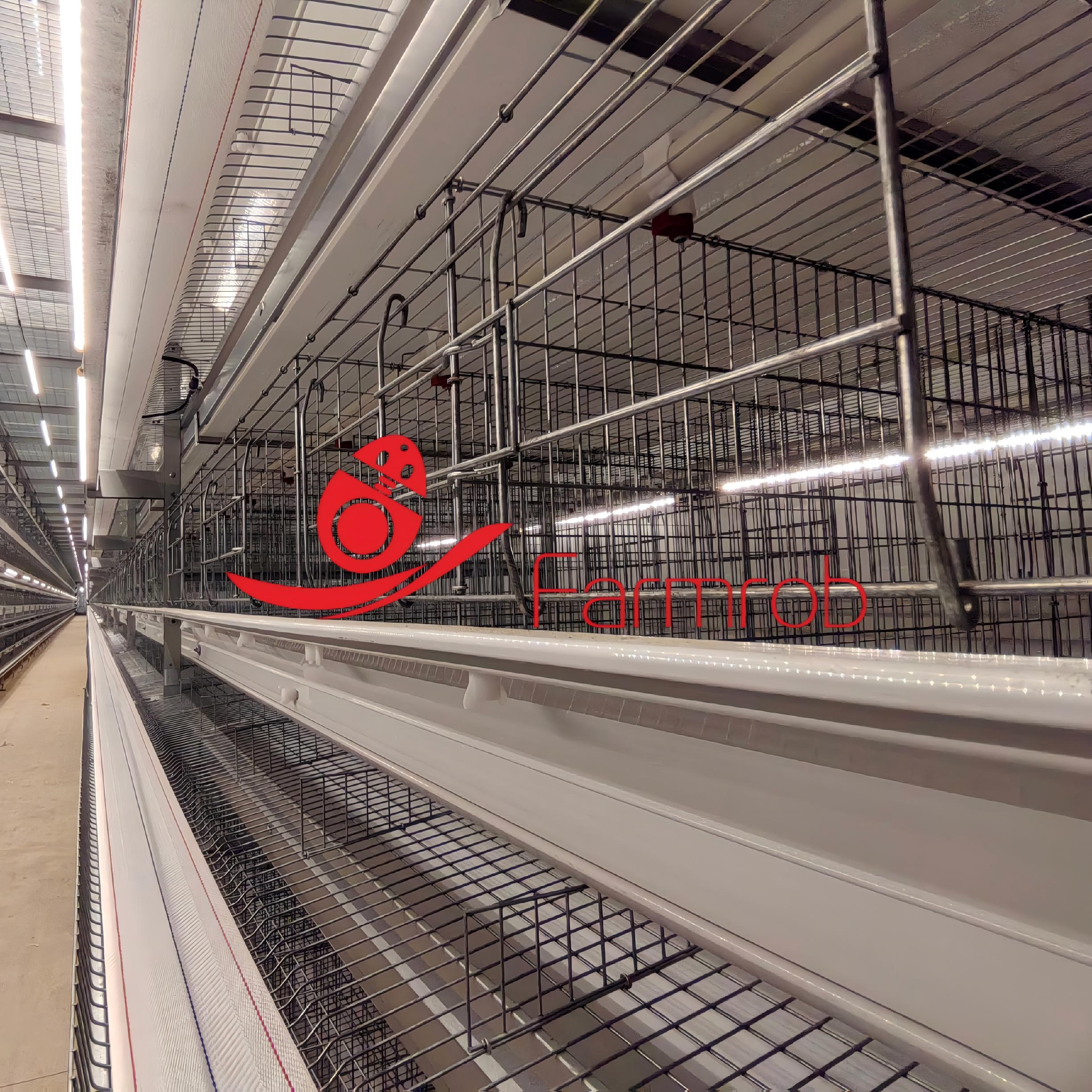 8-Tier Laying Duck Cage System with Automated Poultry Management