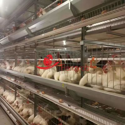 Low stress breeder rearing cage system for natural insemination