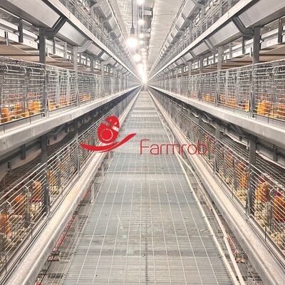 H Type Frame Baby Chicks Cage Design Poultry Battery Cage System in Thailand Farms