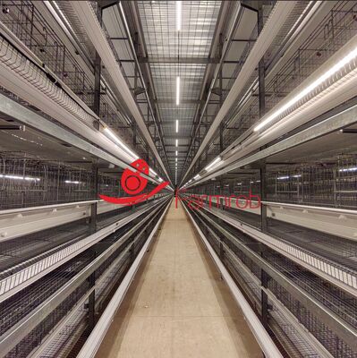 8-Tier H Type Laying Duck Cage System with Automation